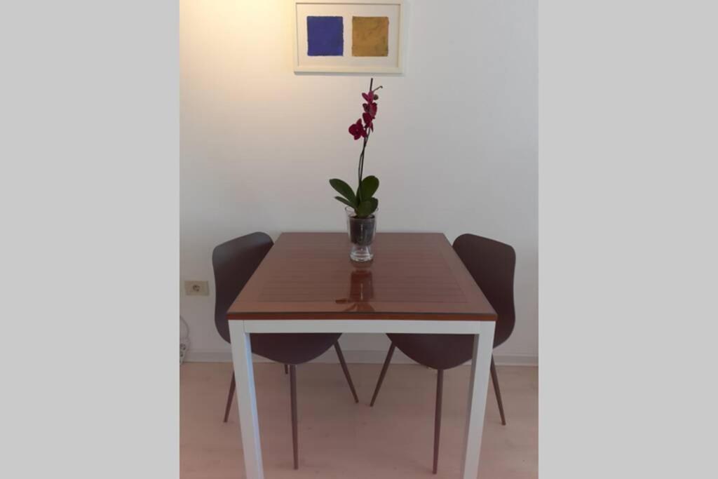 Comfortable Studio In Old Town Labin  Esterno foto
